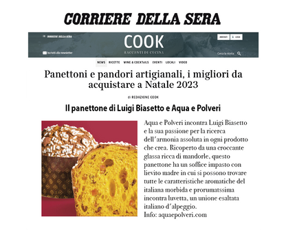 Panettone Biasetto 750g - LIMITED EDITION